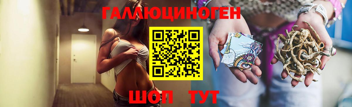 Троицк  Галлюциногенные грибы Psilocybine cubensis  Вход с VPN 