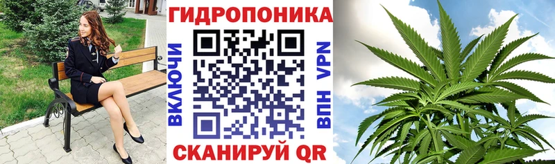 Каннабис OG Kush  Троицк 